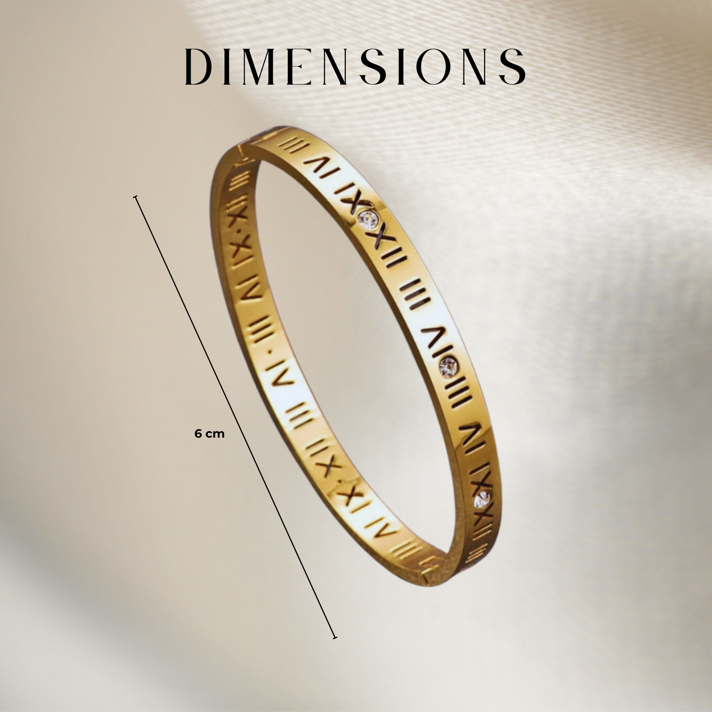 Titanium bracelet (Roman numerals)